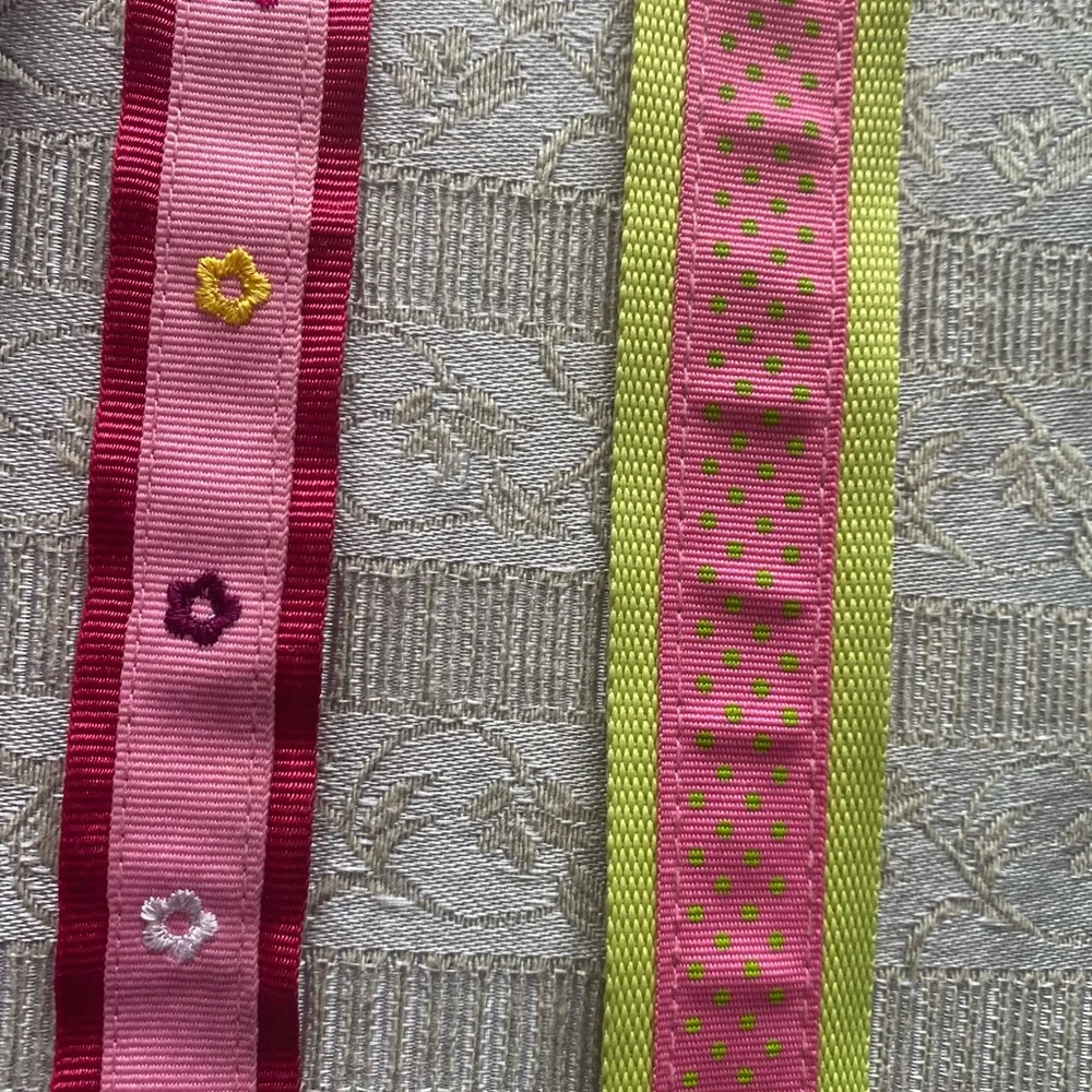 Bundle of girls belts